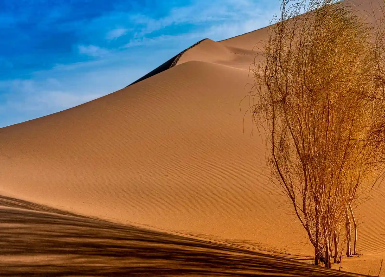 Altyn Emel National Park tour